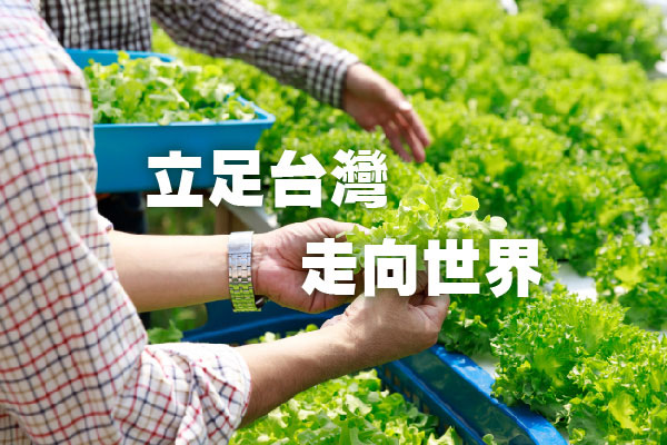 臺農投資股份有限公司 - 墨宇網頁設計精選案例